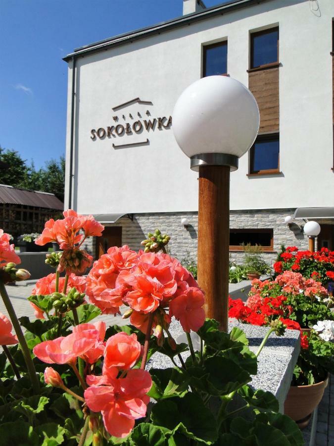 Willa Sokołówka Polanica-Zdrój Exterior foto